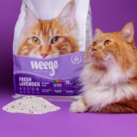 WEEGO FRESH LAVENDER 15L cementuojantis smėlis katės tualetui, 15 L