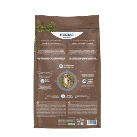 FORZA10 Maintenance Medium Adult su ėriena, šunims sausas pašaras, 12 kg