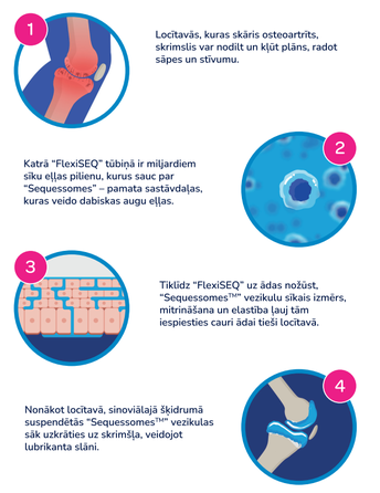 FLEXISEQ  sąnarių skausmui ir sustingimui mažinti gelis, 50 g