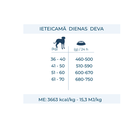 FORZA10 Maintenance Maxi Adult su elniena ir bulvėmis, šunims sausas pašaras, 12 kg