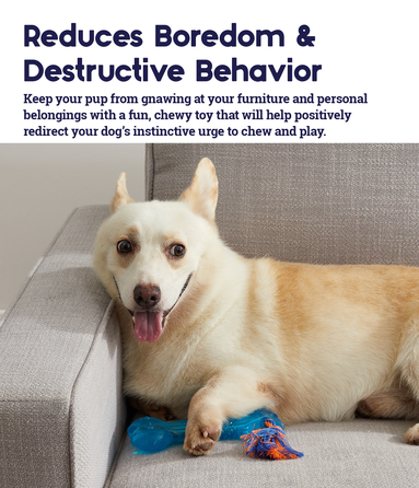 PETSTAGES Orka Bone, mėlynas, L žaislas, 1 vnt.