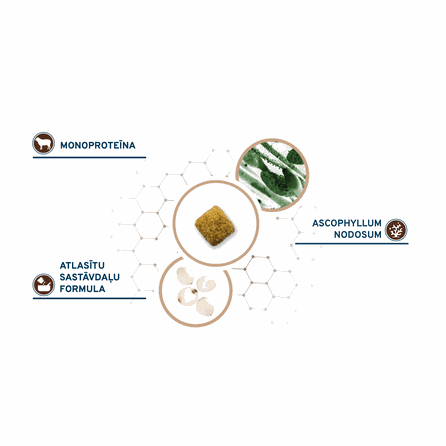 FORZA10 Active VetDiet Gastroenteric, mažai riebalų turintis sausas pašaras, 4 kg