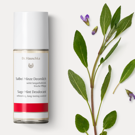 DR.HAUSCHKA Sage Mint rutulinis dezodorantas, 50 ml