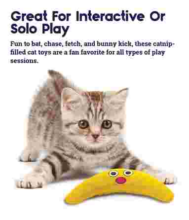 PETSTAGES Boomerang, geltonas,  žaislas, 1 vnt.