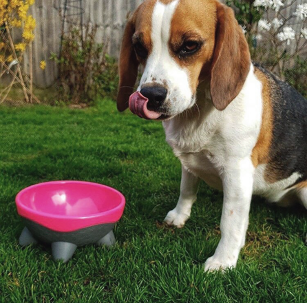 KIWI WALKER UFO, rožinis, M dubenėlis, 1 vnt.