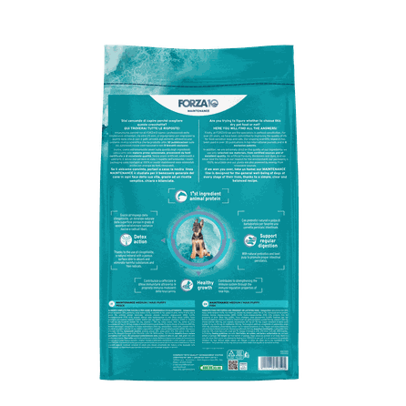FORZA10 Maintenance Puppy Medium/Maxi su žuvimi, šunims sausas pašaras, 12 kg