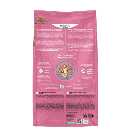 FORZA10 Maintenance Adult All Size, su kiauliena, šunims sausas pašaras, 2 kg