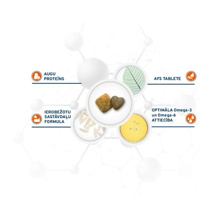 FORZA10 Active Vetdiet Renal, šunims sausas pašaras, 4 kg