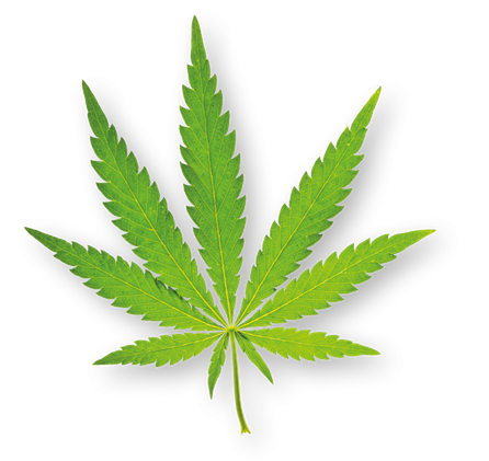 ALPENBAUER BIO Hanf-Mango, su kanapių ekstraktu ir mangu saldainiai, 90 g