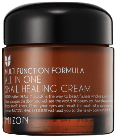 MIZON All in One veido kremas, 75 ml