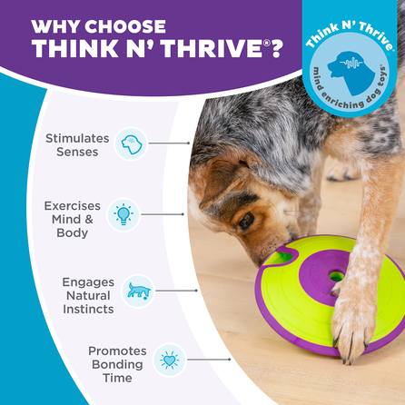 OUTWARD HOUND Treat Maze, žalias žaislas, 1 vnt.