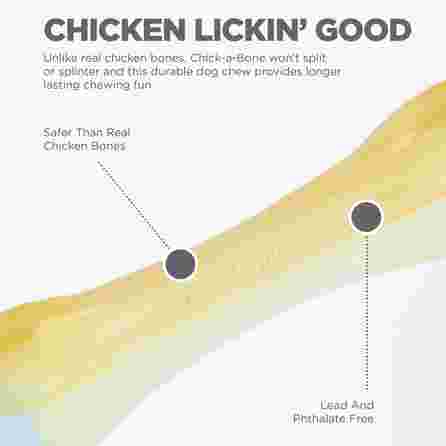 PETSTAGES Chick‑A‑Bone baltas, L žaislas, 1 vnt.