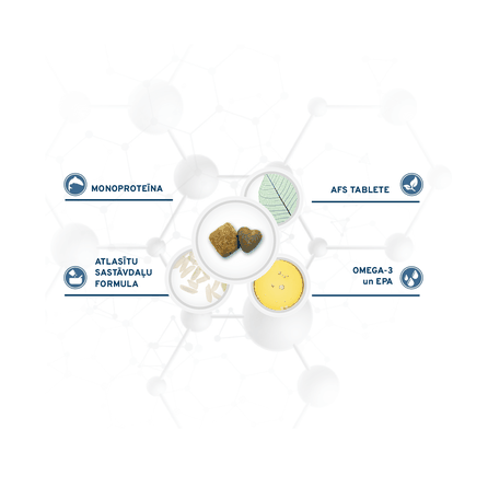 FORZA10 Active Vetdiet Puppy Condro, šunims sausas pašaras, 10 kg