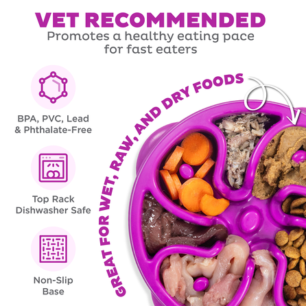 OUTWARD HOUND Fun Feeder Flower, L, violetinis dubenėlis, 1 vnt.