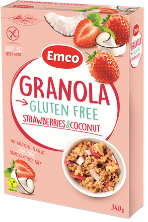 EMCO Granola Strawberry Chocolate dribsniai, 340 g