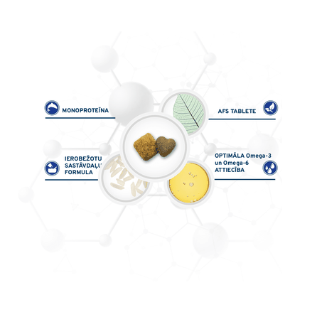 FORZA10 Active Vetdiet Depura, šunims sausas pašaras, 10 kg