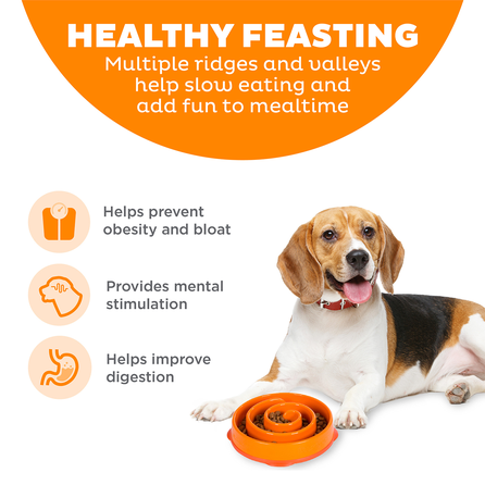 OUTWARD HOUND Fun Feeder Swirl, M, oranžinis dubenėlis, 1 vnt.