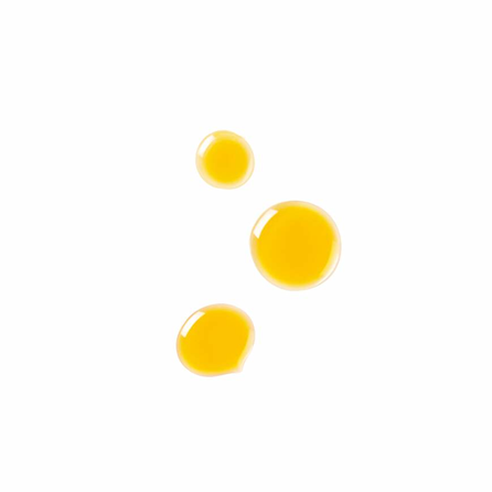 DR.HAUSCHKA Gesichtsol veido aliejus, 18 ml