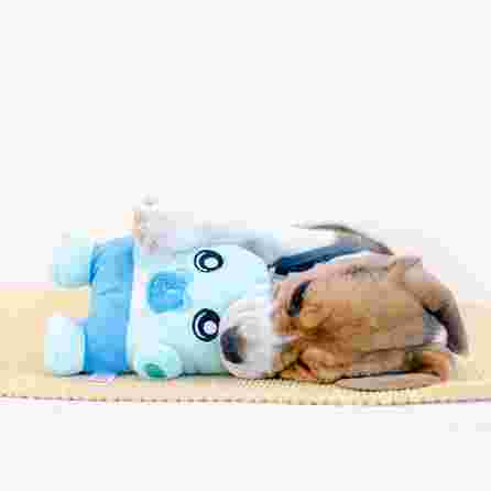 DASHI ALBU, pliušinis žaislas, 1 vnt.