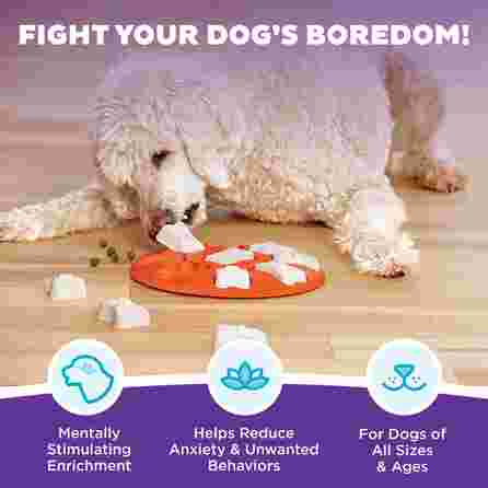 OUTWARD HOUND Dog Smart, oranžinis žaislas, 1 vnt.