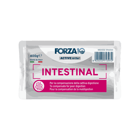 FORZA10 Active VetDiet Cat Intestinal, suaugusioms katėms sausas pašaras, 400 g