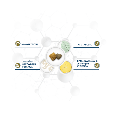 FORZA10 Active VetDiet Periaction, šunims sausas pašaras, 10 kg