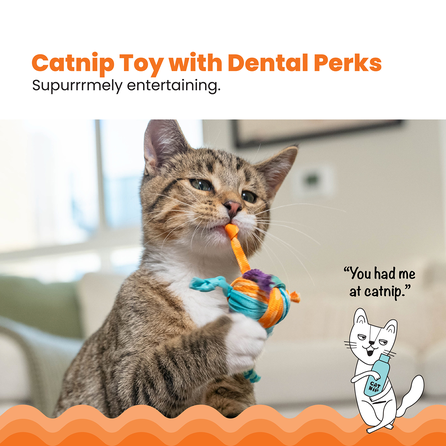 CATSTAGES Catnip Tons Of Tails, spalvotas žaislas, 1 vnt.