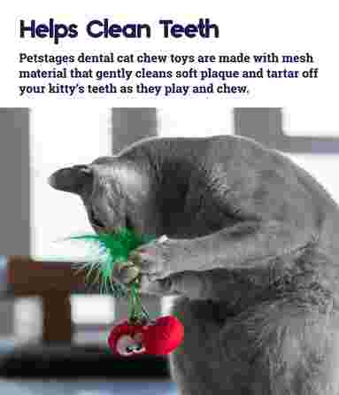 PETSTAGES Dental Cherries, raudonas žaislas, 1 vnt.