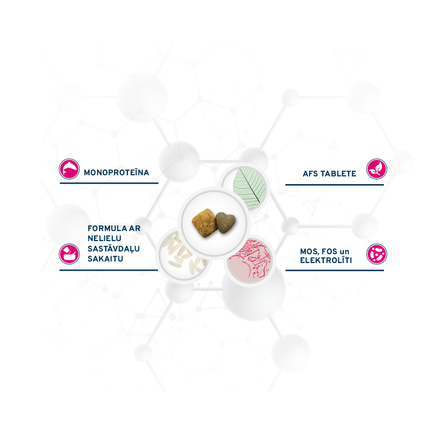 FORZA10 Active Vetdiet Intestinal, šunims sausas pašaras, 10 kg