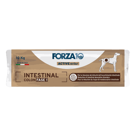 FORZA10 Active VetDiet Intestinal Colon FASE 1, šunims sausas pašaras, 10 kg