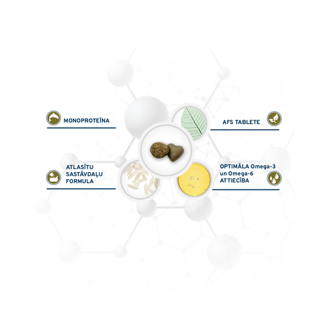 FORZA10 ActiveVetDiet Periaction Mini/Toy, šunims sausas pašaras, 1.5 kg