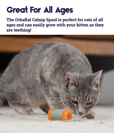 CATSTAGES Orkakat Catnip Infused Spoo, oranžinis žaislas, 1 vnt.