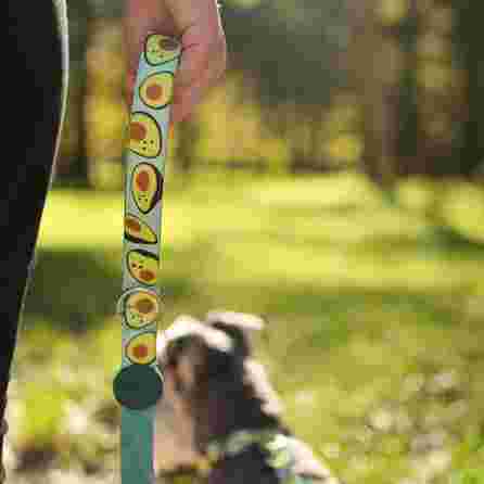 DASHI AVOCADO, S, šunims pavadėlis, 1 vnt.