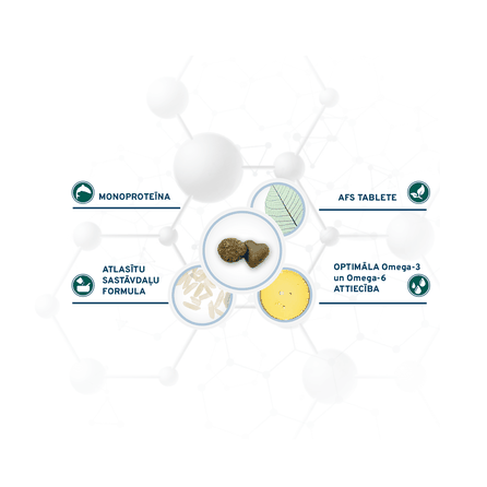 FORZA10 Active Vetdiet Echo Mini/Toy, šunims sausas pašaras, 1.5 kg