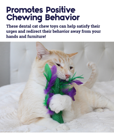 PETSTAGES Krazy Kale, žalias žaislas, 1 vnt.