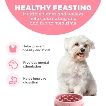 OUTWARD HOUND Fun Feeder Wave, rožinis, S dubenėlis, 1 vnt.