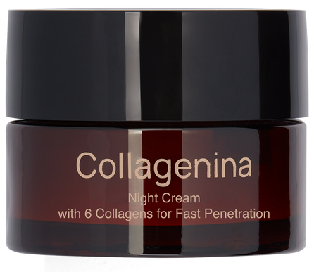COLLAGENINA With 6 Collagens, Grade 2, Night veido kremas, 50 ml