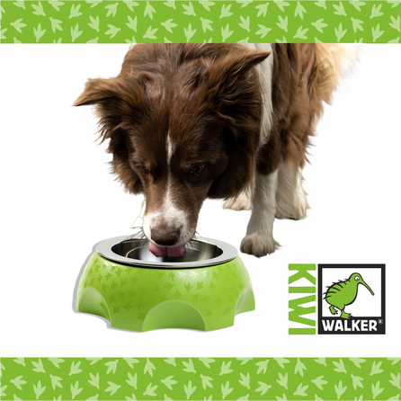 KIWI WALKER Sierra žalias, M dubenėlis, 1 vnt.