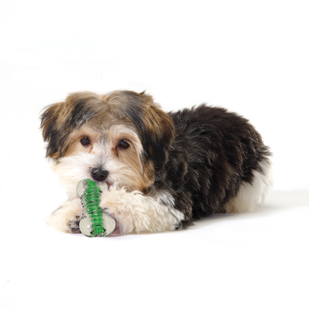 PETSTAGES Crunchcore, žalias, S  žaislas, 1 vnt.