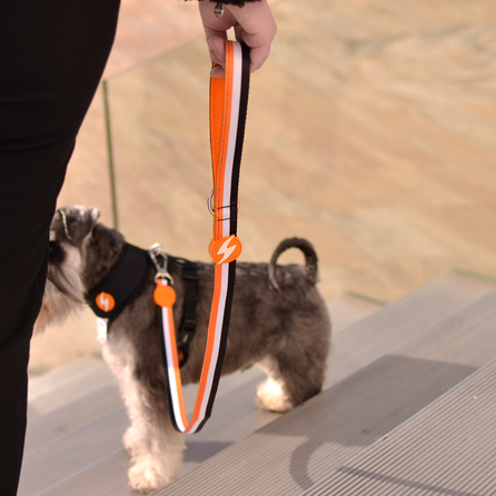 DASHI pavadėlis, 1 vnt.