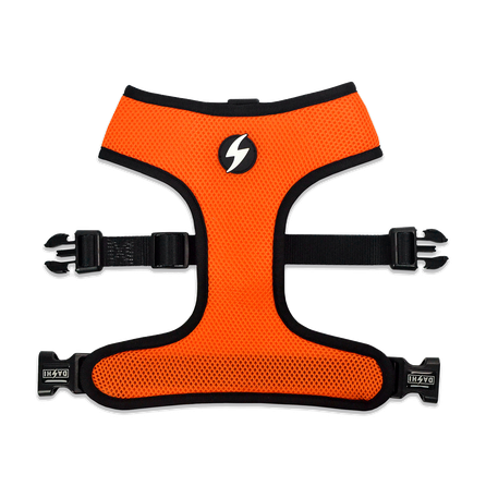 DASHI petnešos, 1 vnt.