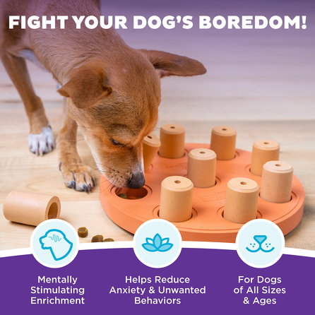 OUTWARD HOUND Dog Smart Composite, oranžinis žaislas, 1 vnt.