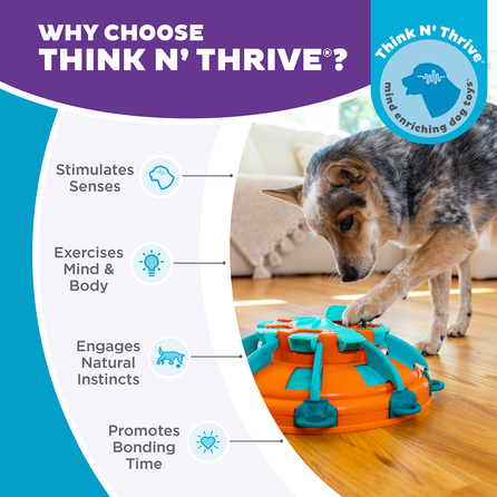 OUTWARD HOUND Tower Of Treats, oranžinis žaislas, 1 vnt.