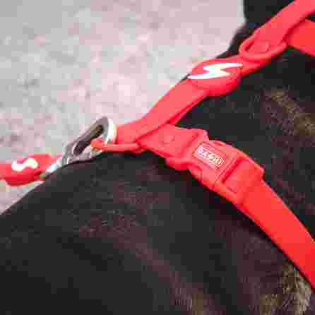 DASHI petnešos, 1 vnt.