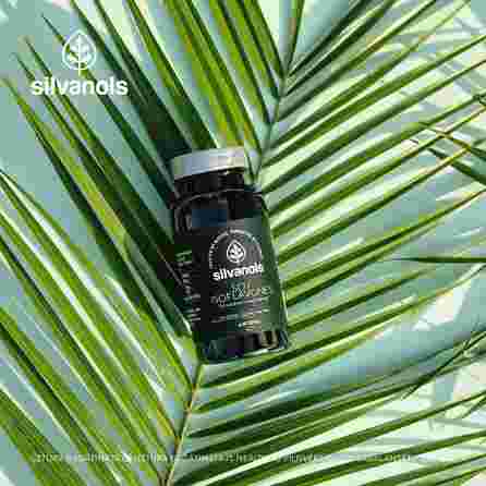 SILVANOLS Soy Isoflavones kapsulės, 60 vnt.