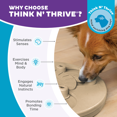 OUTWARD HOUND A-Maze Ball, žalias žaislas, 1 vnt.