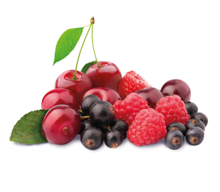 ALPENBAUER BIO Waldbeere, su šešių miško uogų koncentratais saldainiai, 90 g