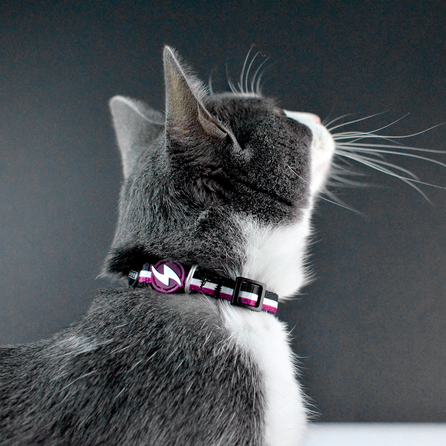 DASHI antkaklis, 1 vnt.