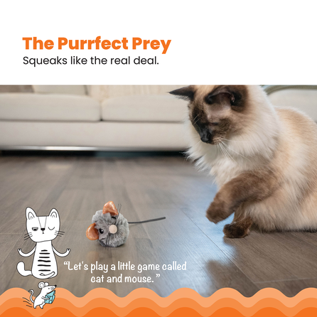 CATSTAGES Squeak Squeak Mouse, pilkas žaislas, 1 vnt.