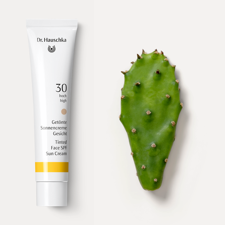 DR.HAUSCHKA Tinted Face Sun SPF 30 apsauginis kremas nuo saulės, 40 ml
